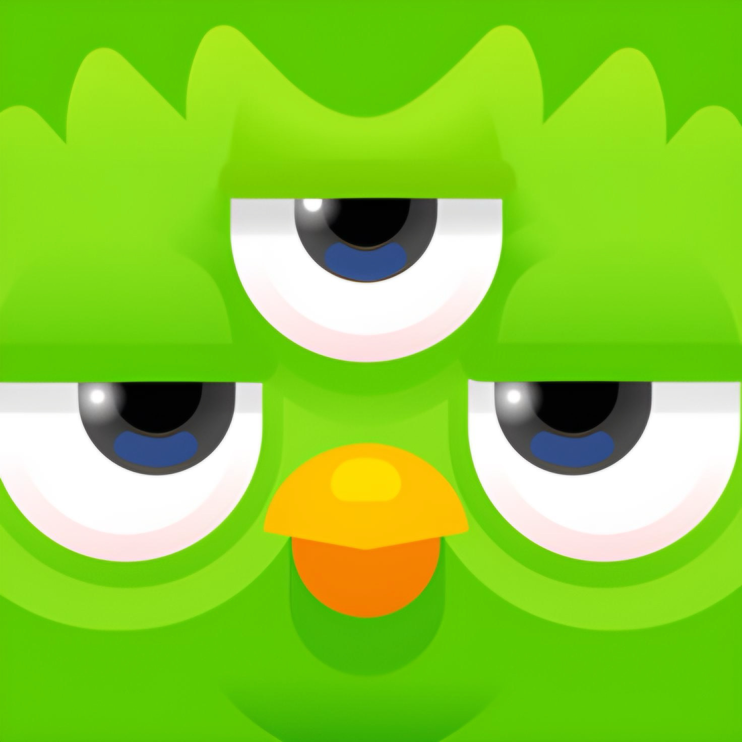 Duolingo Pro